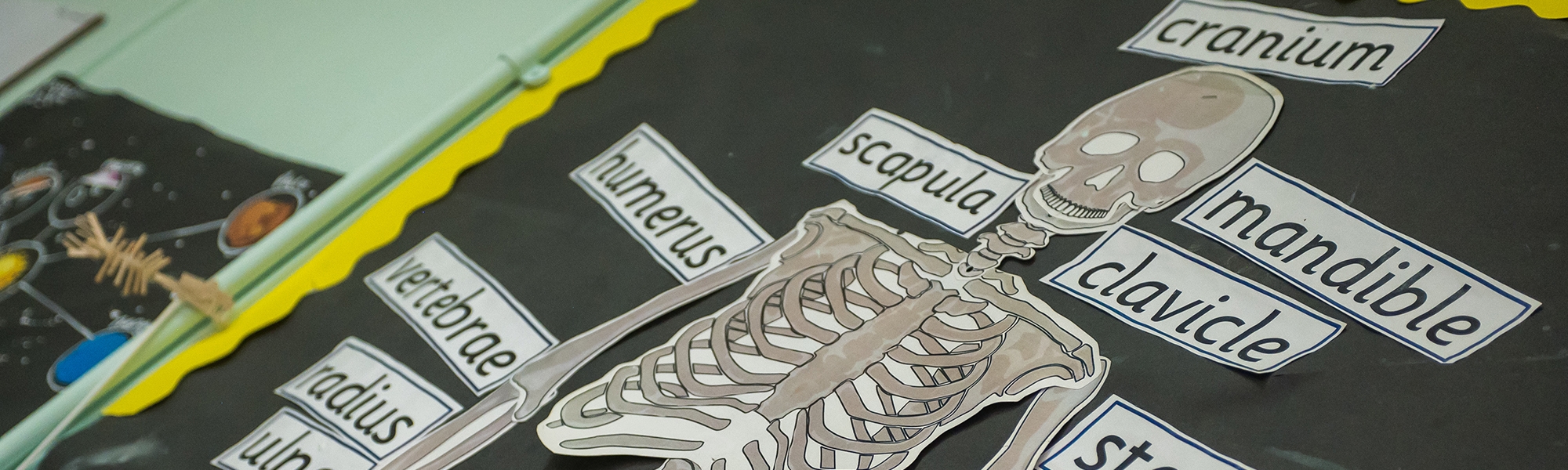 Management Committee Header